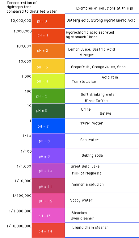 pH scale - why pH balance matters